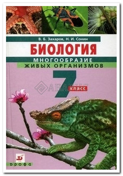 Как правильно читать чтоб запоминать