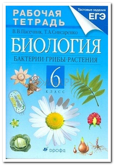РАБОЧАЯ ТЕТРАДЬ ПО БИОЛОГИИ 6 КЛАСС ДРОФА ПАСЕЧНИК СКАЧАТЬ БЕСПЛАТНО РАБОЧАЯ ТЕТРАДЬ ПО БИОЛОГИИ 6 КЛАСС ДРОФА ПАСЕЧНИК СКАЧАТЬ БЕСПЛАТНО